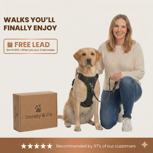 ARNÉS ANTITIRONES SNOOTY™