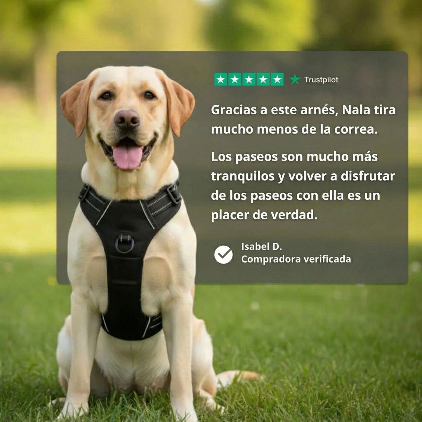 ARNÉS ANTITIRONES SNOOTY™